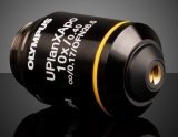 Объектив Olympus UPLXAPO, увеличение: 10X