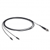 BFYL1LS01 - Волоконно-оптический жгут с разветвлением, сердцевина: 200 мкм, числовая апертура: 0.22, разъем: SMA905, наконечники: 1.25 мм, длина: 1 м, Thorlabs