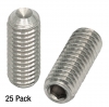 SS6MS16 - Установочный винт из нержавеющей стали, резьба: M6 x 1.0, длина: 16 мм, 25 шт., Thorlabs