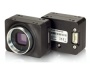 Камеры FLIR Chameleon®3 с интерфейсом USB 3.0