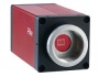Камеры Pike с интерфейсом FireWire.b от Allied Vision