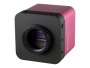 Камера MV1-D2048x1088-HS02-96-G2-10, 2048x1088, 2.2 Мп, 42 к/с, C-Mount, ч/б