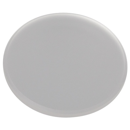 DGUV10-600 - Светорассеиватель из матового стекла, Ø1", кварцевое стекло, 600 Grit, Thorlabs