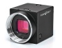 Камеры FLIR Flea®3 с интерфейсом USB 3.0