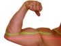 Лазерные модули FLEXPOINT Line: линия (5° - 100°)