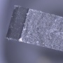 Стереомикроскоп Tmetrics T20 с КМОП камерой C20, 2 Мп, 60 к/с, 16-160X
