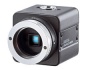 Цветные CCD камеры Edmund Optics